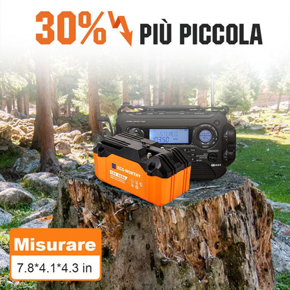 Batteria al litio portatile 12V 20Ah LiFePO4 - eco - worthy - it