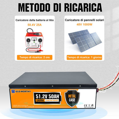 Batteria al litio 48V 50Ah LiFePO4 - eco - worthy - it