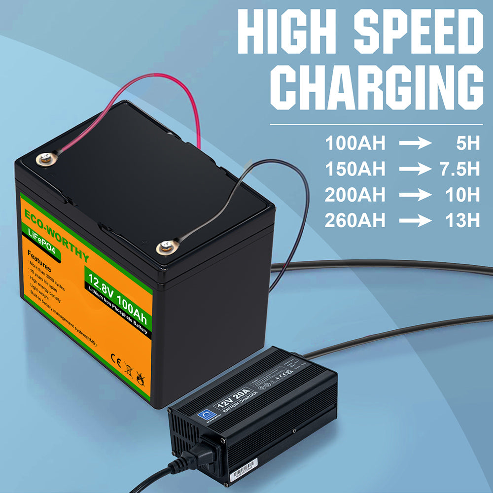 Batterie zu Batterie Erhaltungsladegerät 12V/12V Standby-Charger Pro 8A  Lithium